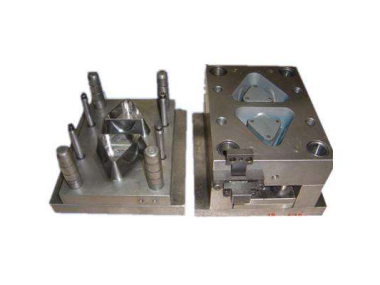 mould service